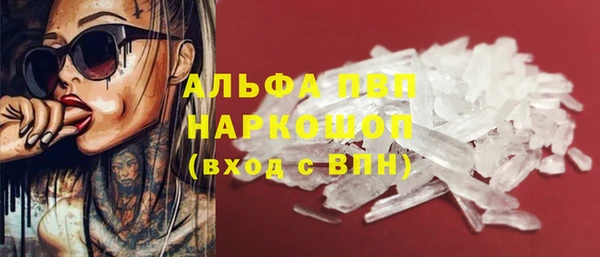 сатива Белокуриха